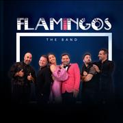 Flamingos The Band - Αλέξης Καπνίτης , Ορχήστρες