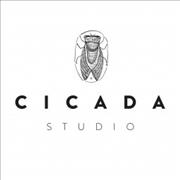 Cicada Studio - Nίκος Ευστρατίου, Φωτογράφοι
